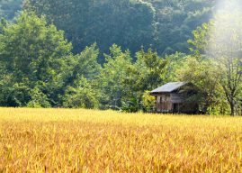 5 choses à faire au Laos